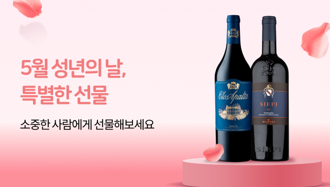 5월 성년의 날, 특별한 선물