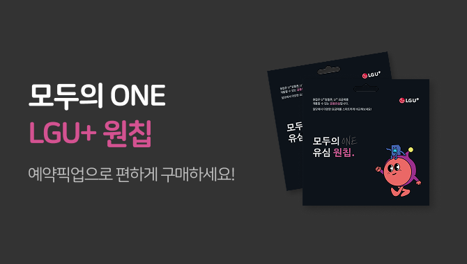 원칩 USIM