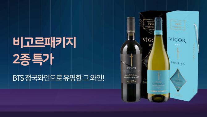 비고르패키지 2종 특가