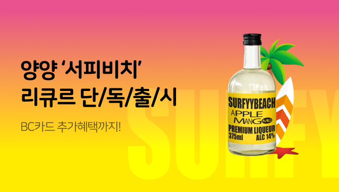 양양 서피비치 주류 출시