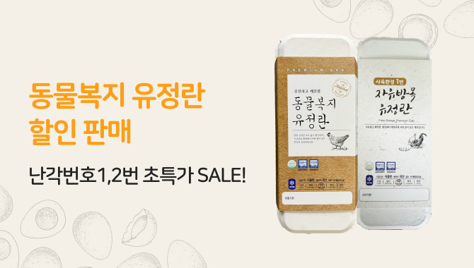 동물복지계란 특가세일