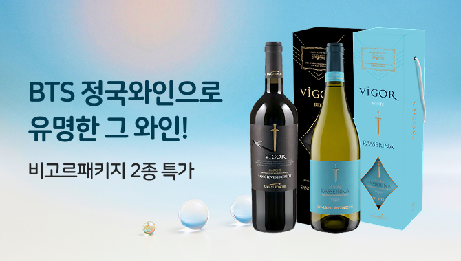 비고르패키지 2종 특가
